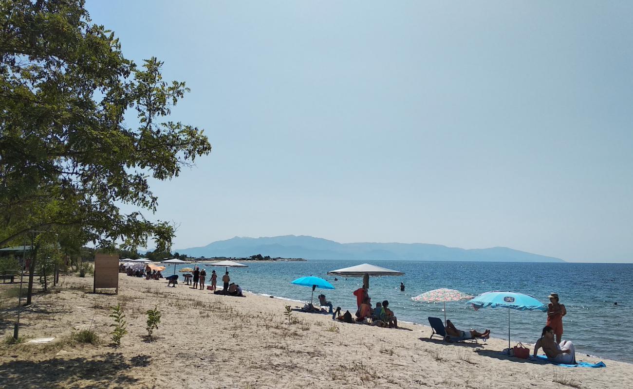 Photo of Timari beach with white sand surface