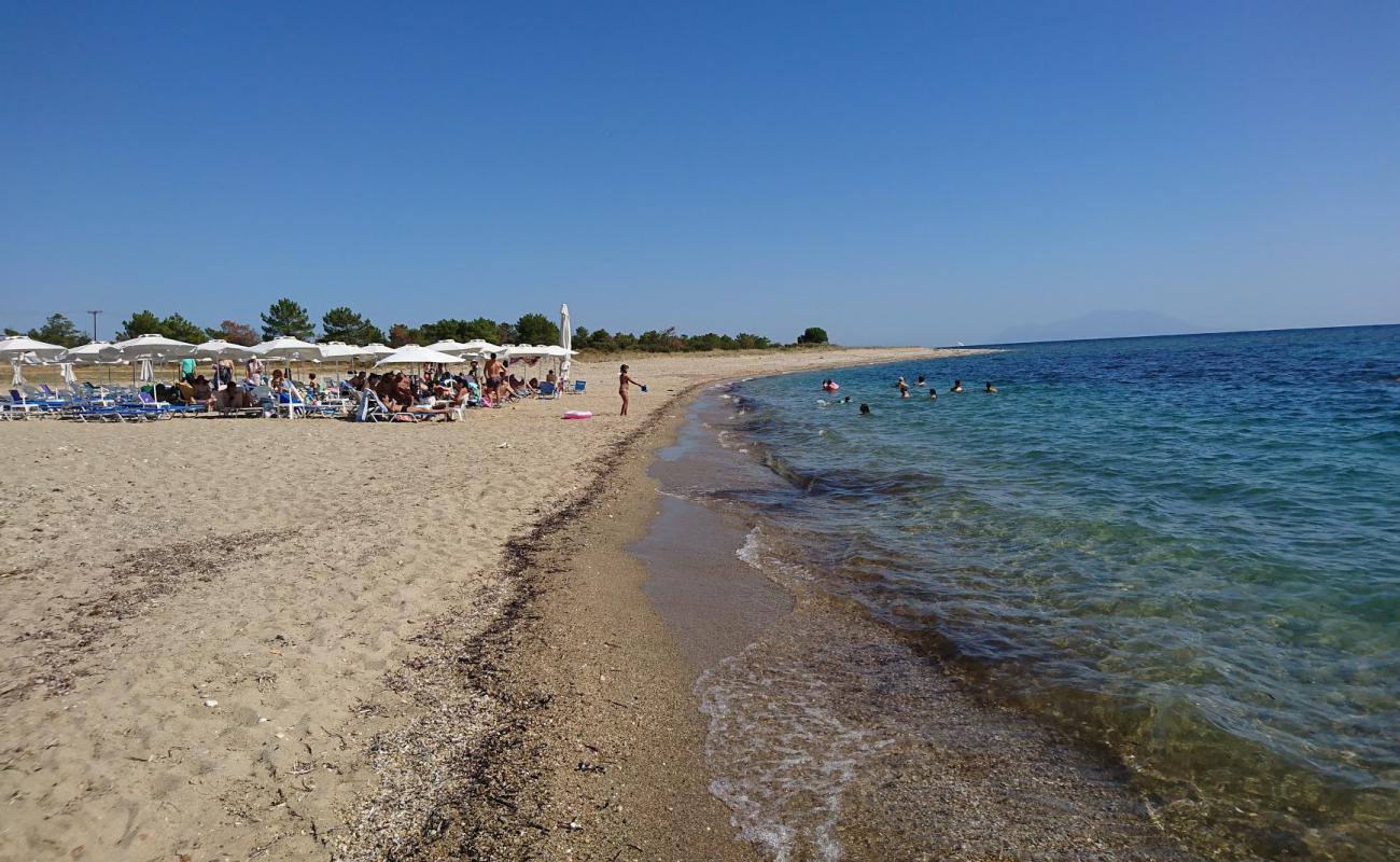 Photo of Coogee beach with bright fine sand surface