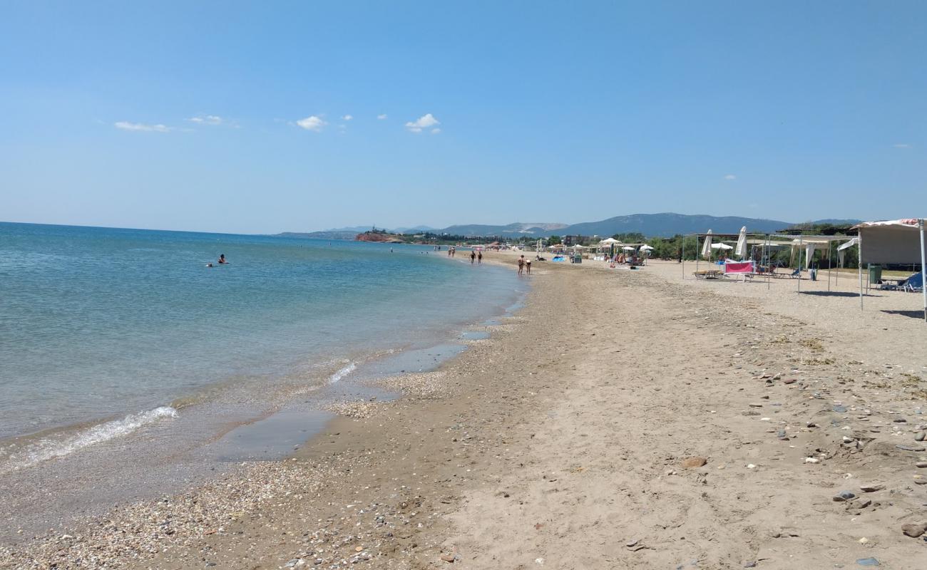 Photo of Alexandroupolis beach with light sand &  pebble surface