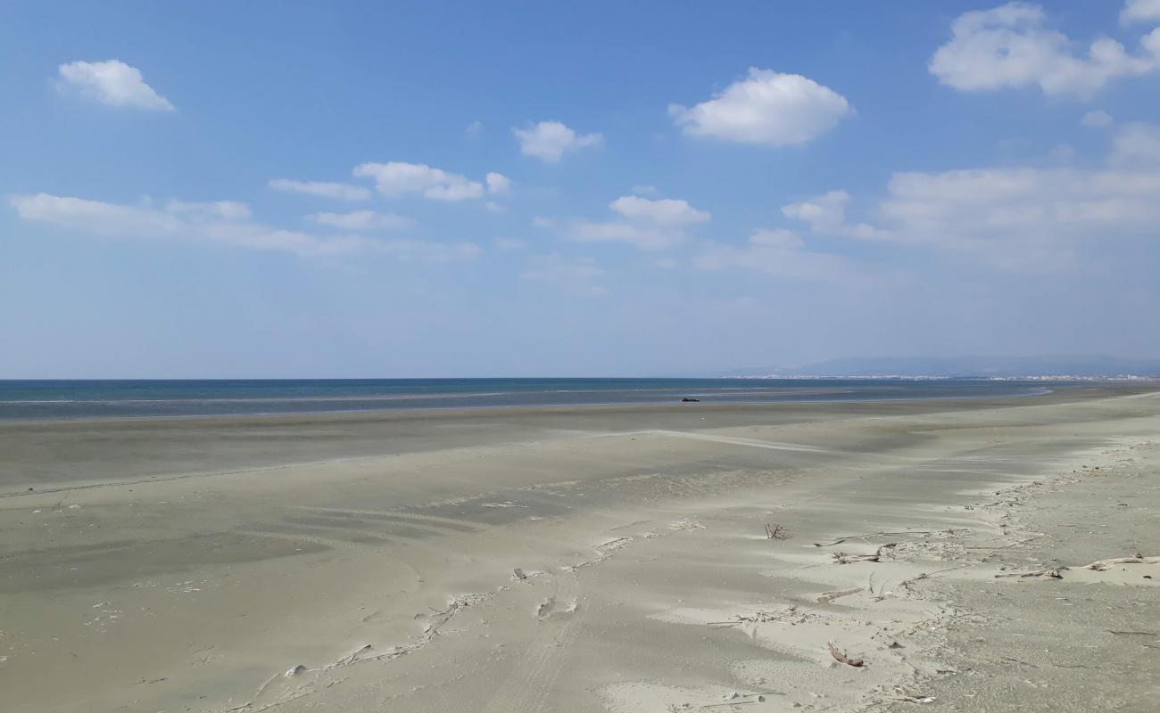 Photo of Delta Evrosa beach with bright sand surface