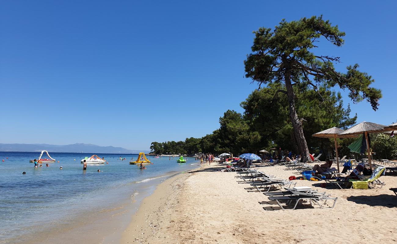 Photo of Pachis beach with white sand surface