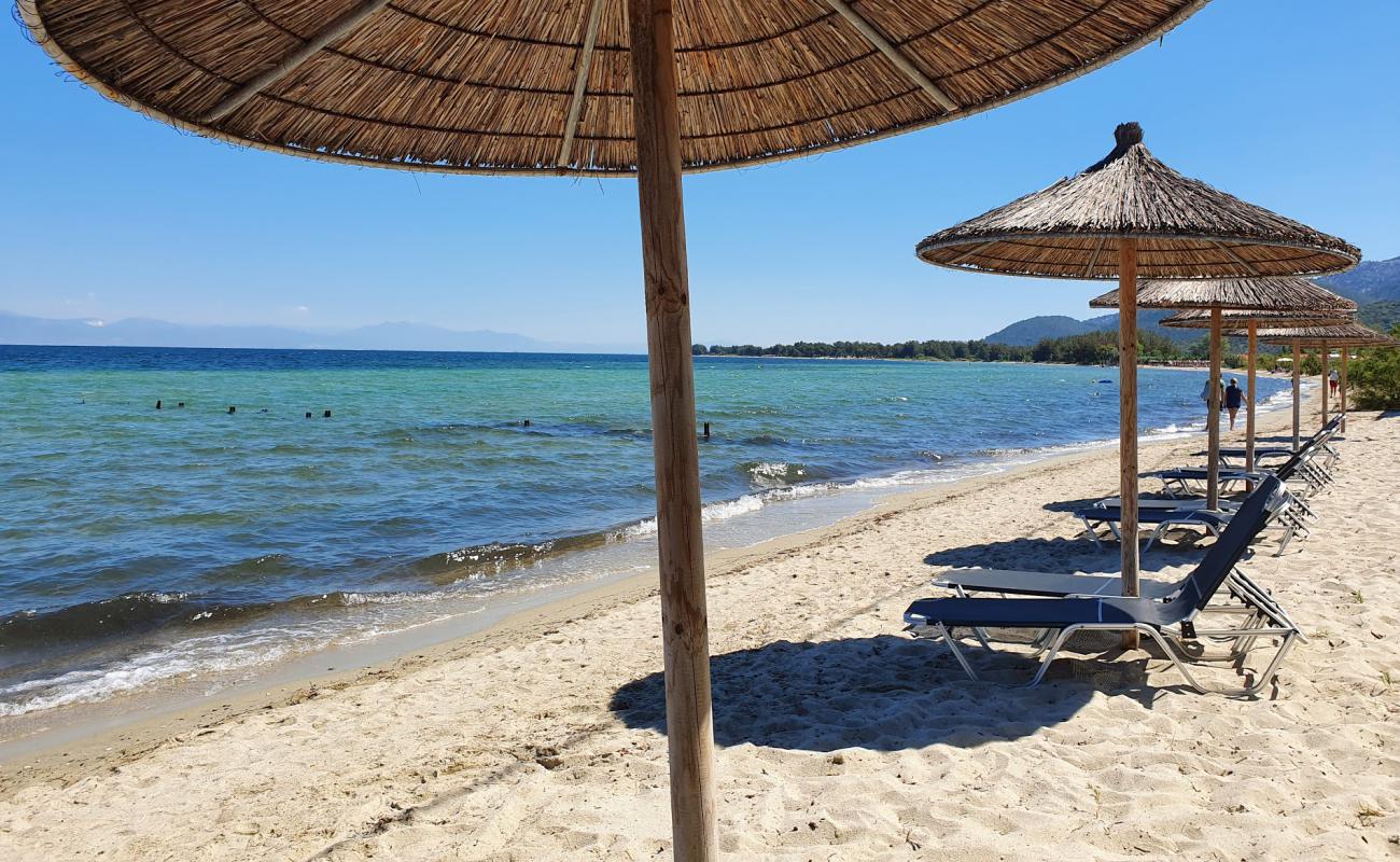 Photo of Skala Prinos beach with bright sand surface