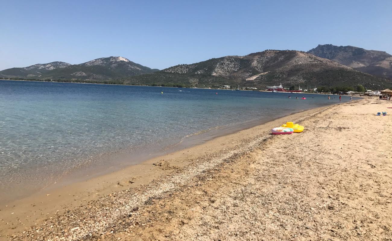 Photo of Aphrodite beach with bright sand surface