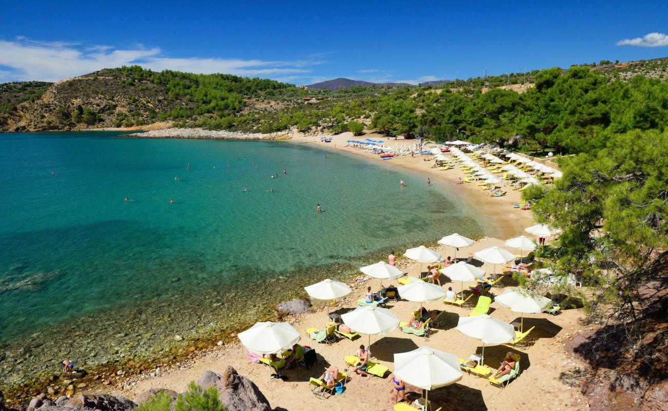 Photo of Rosonkremos beach with bright fine sand surface