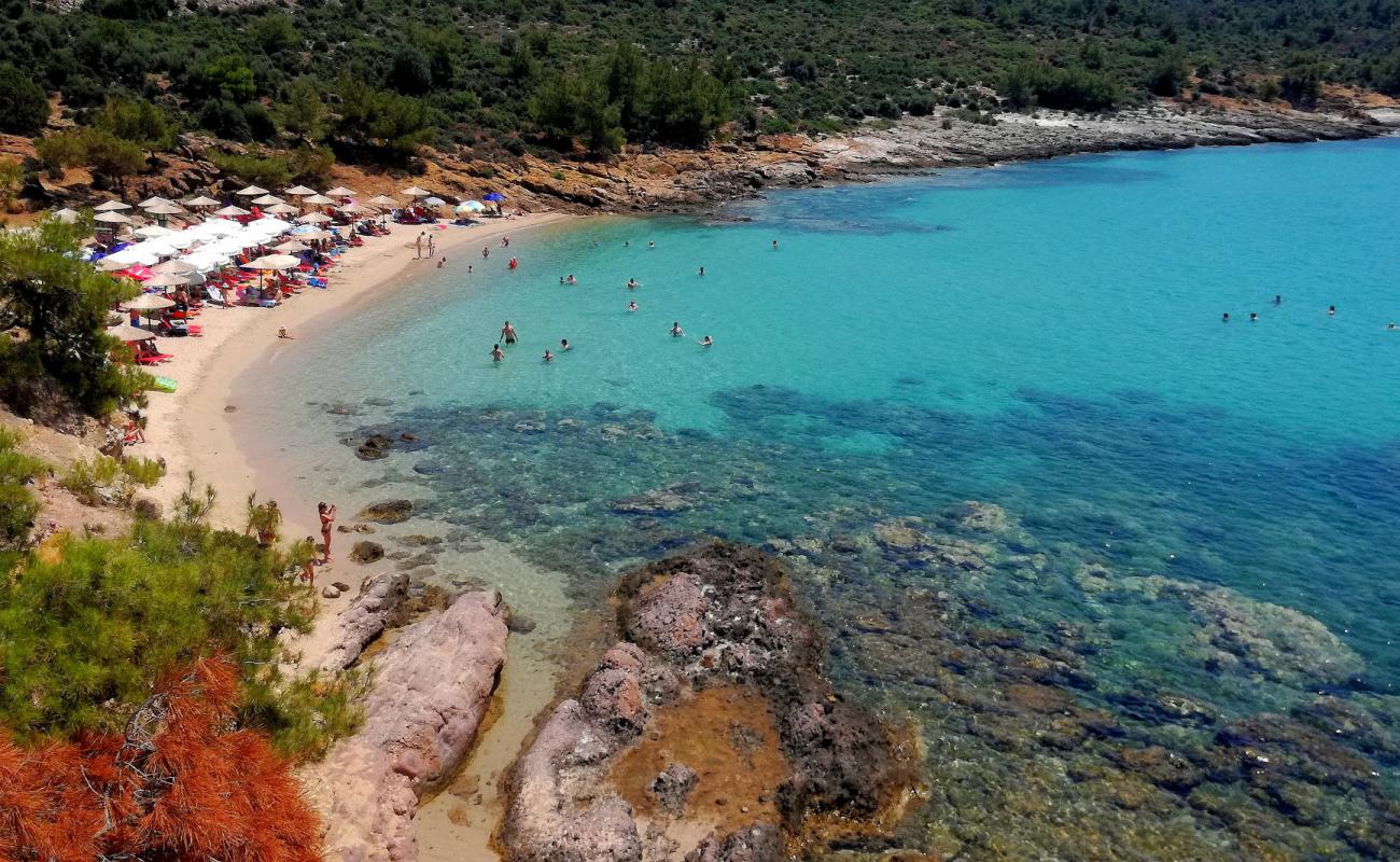 Photo of Notos beach with bright sand surface