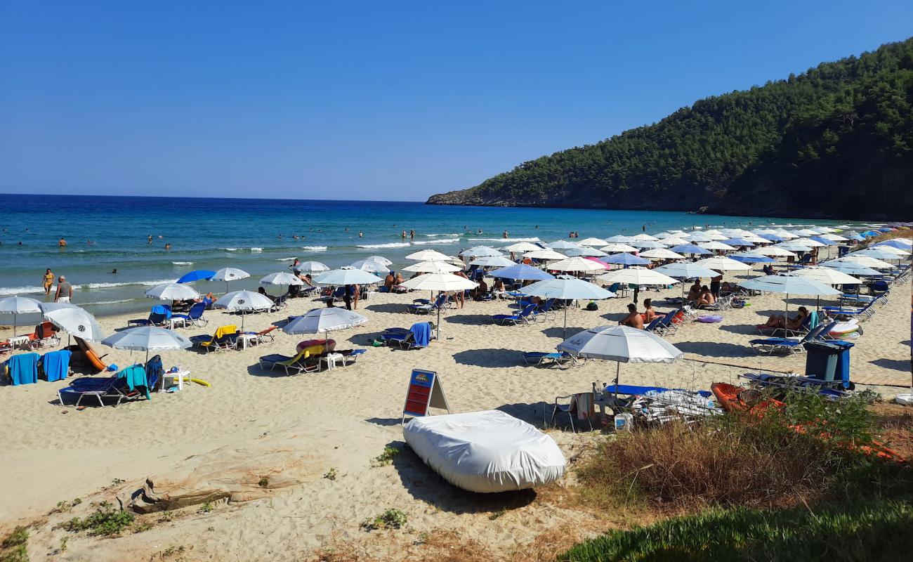 Photo of Paradise beach with white fine sand surface