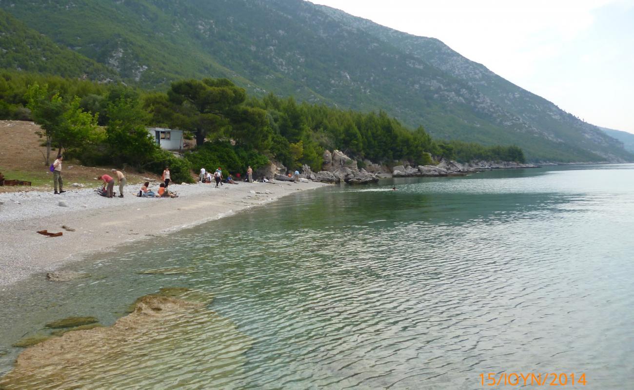 Photo of Dafnonta 3 beach with gray fine pebble surface