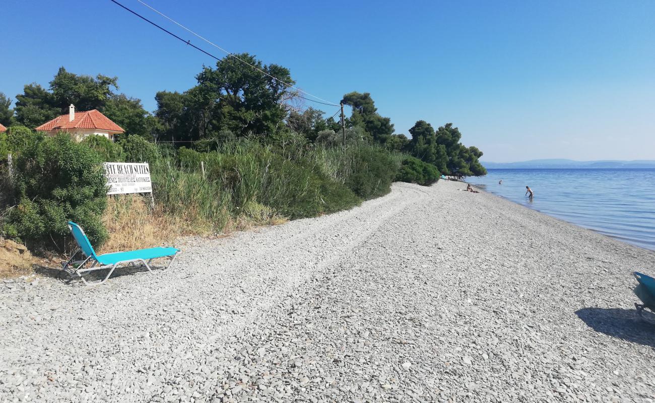 Photo of Sungate beach with light pebble surface