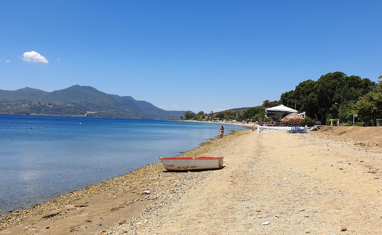 Photo of Maounis beach with black sand & pebble surface