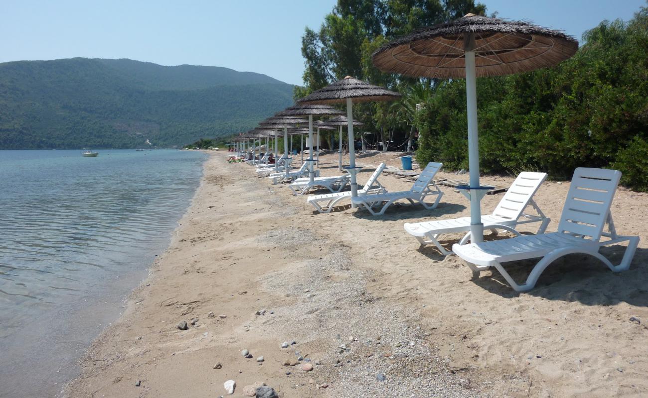 Photo of Rododafni beach with brown sand &  rocks surface