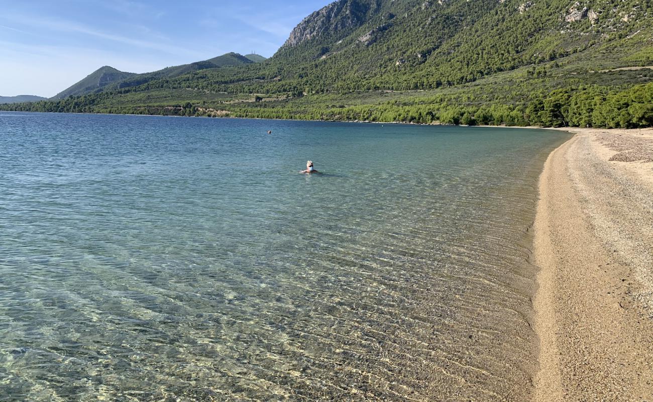 Photo of Gregolimano beach with bright sand surface