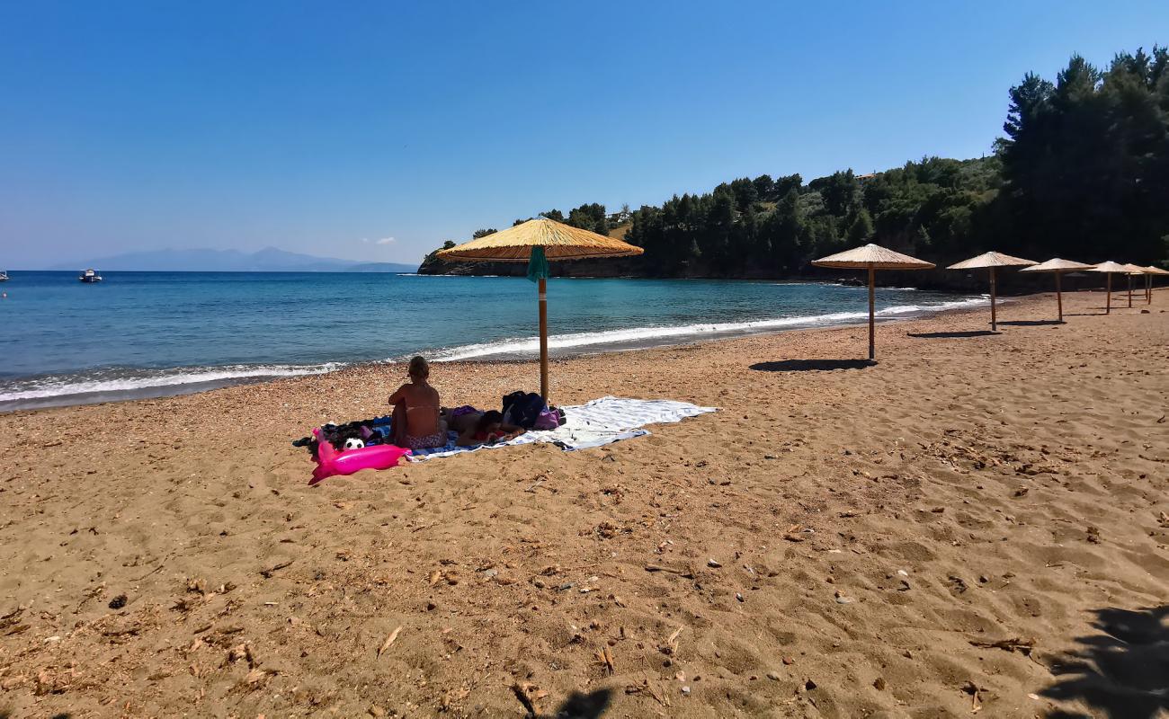 Photo of Kotsikia beach with black sand & pebble surface