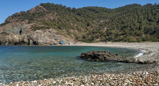 Daphnopótamos beach