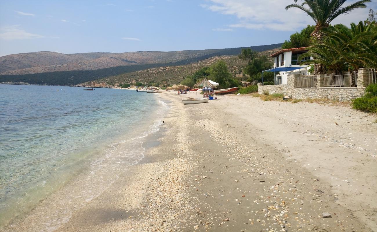 Photo of Nimporo beach with brown sand &  rocks surface