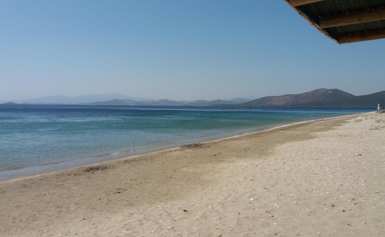 Photo of Delissos beach with brown sand surface