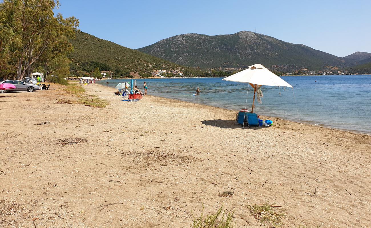 Photo of Almyropotamos beach with black sand & pebble surface