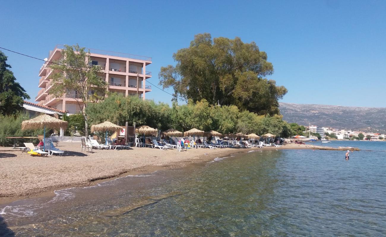 Photo of Amarynthos 3 beach with gray sand &  pebble surface