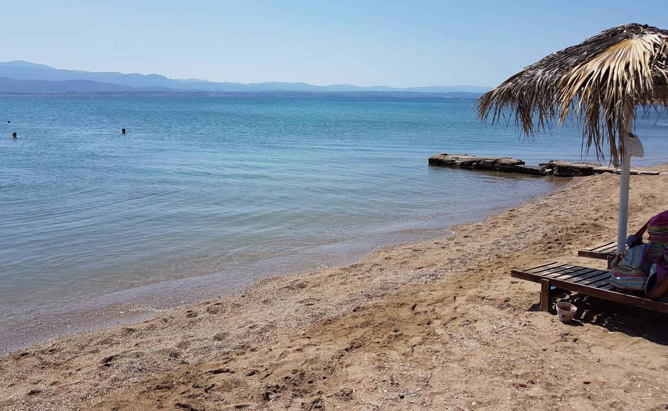 Photo of Thealos beach with gray sand &  pebble surface