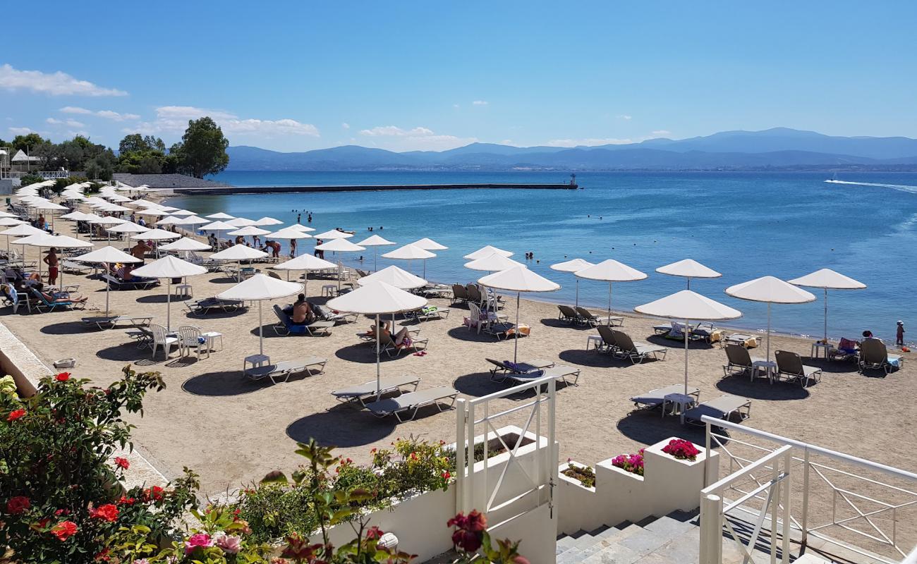 Photo of Palmariva free  beach with gray sand surface