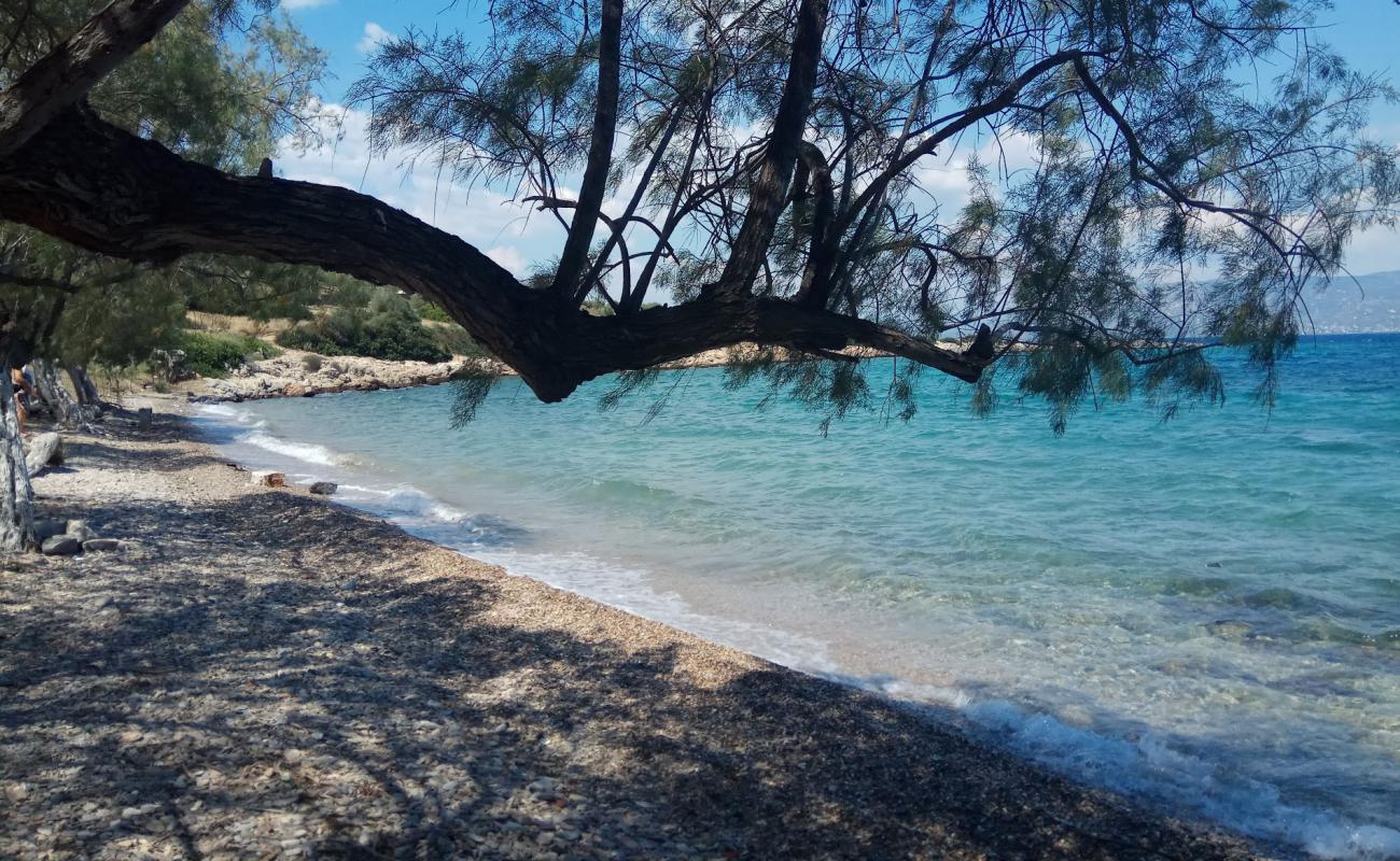 Photo of Pounda beach with light sand &  pebble surface