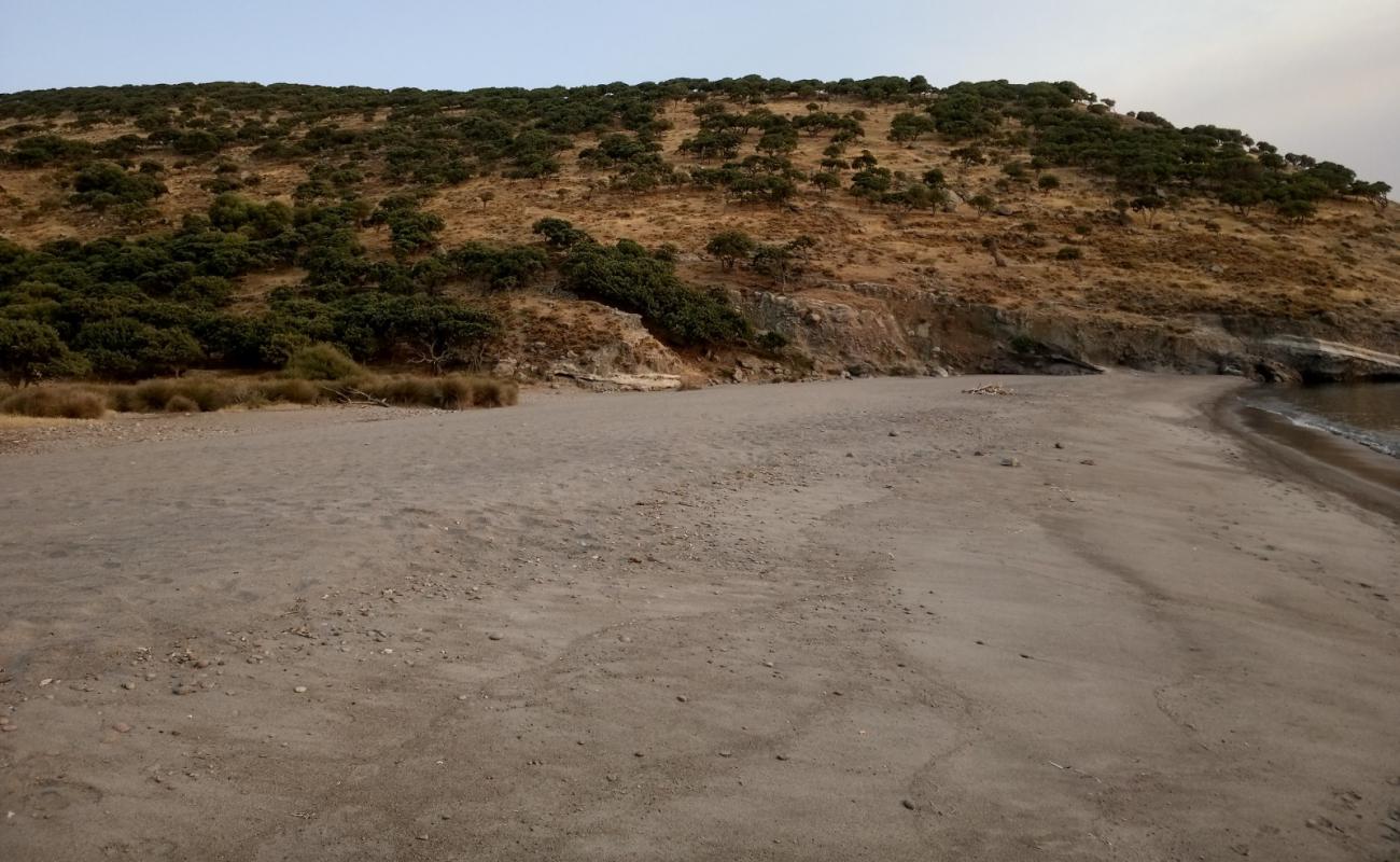 Photo of Ag. Dimitrios beach II with gray sand surface