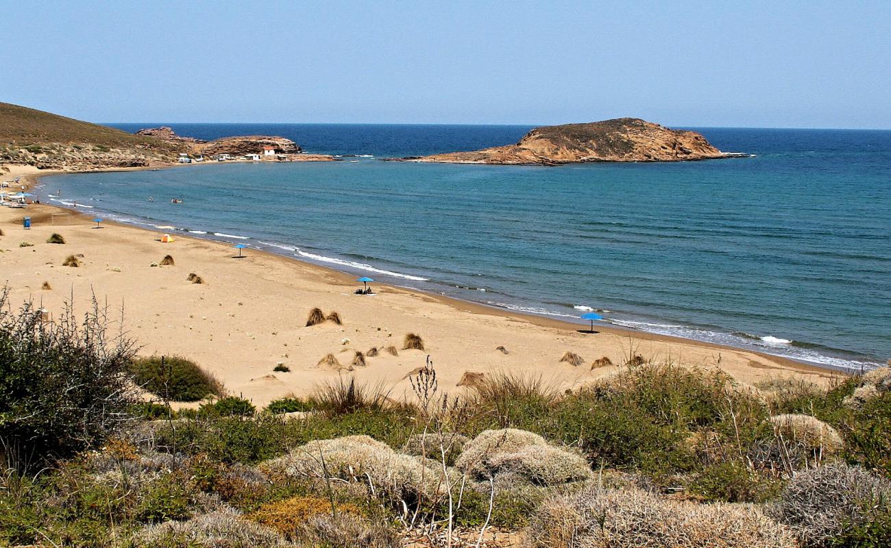 Photo of Gomati beach with brown fine sand surface