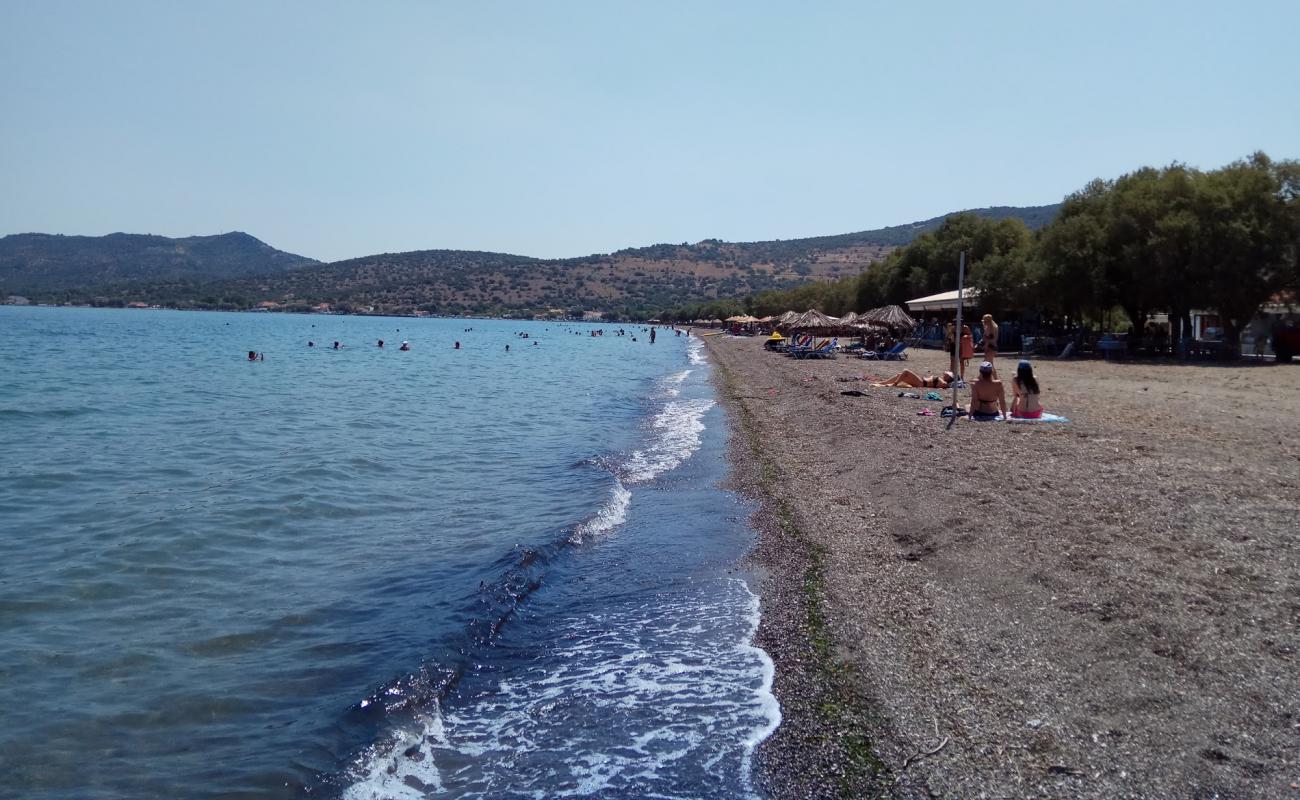 Photo of Nyphida beach with light pebble surface