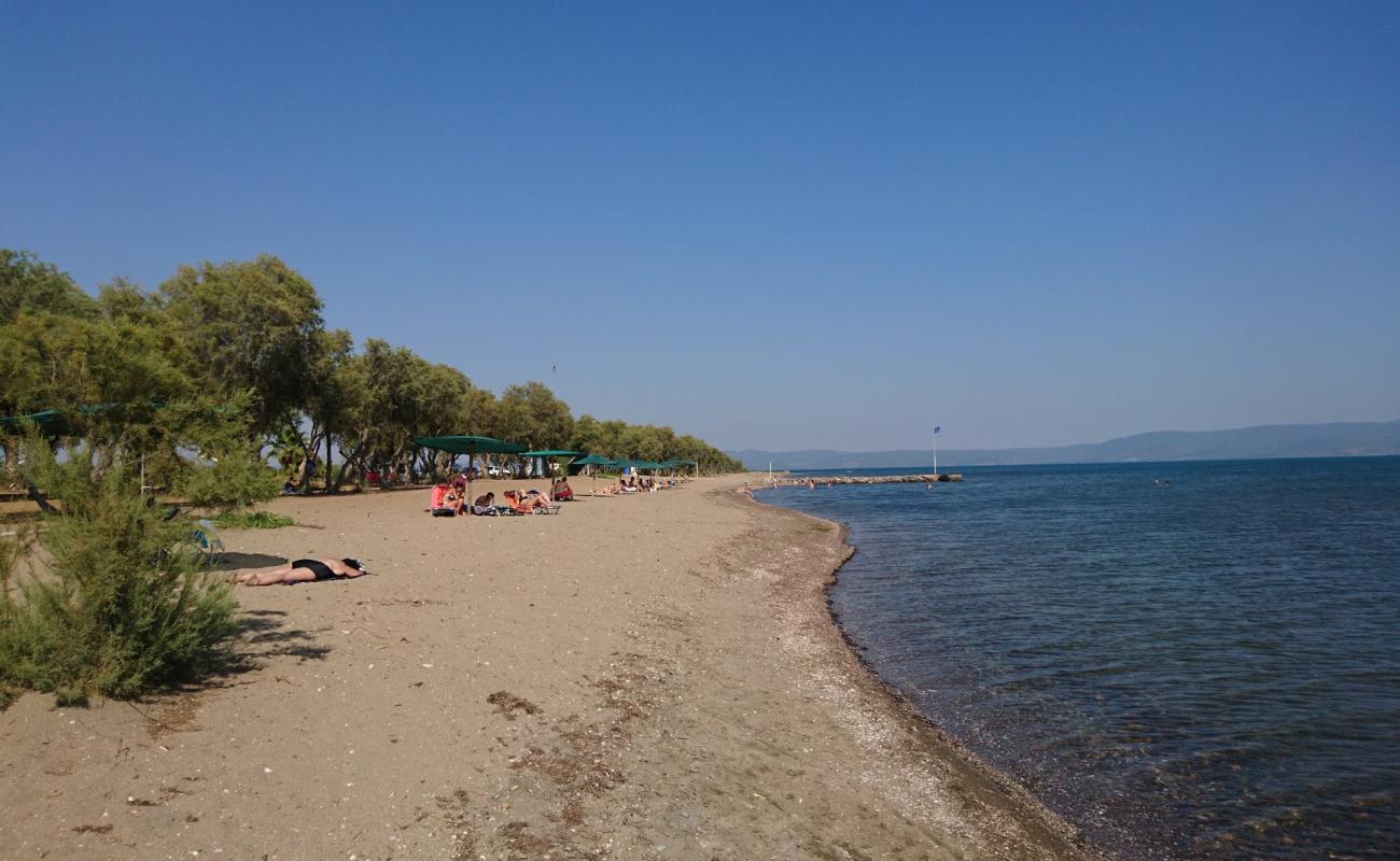 Photo of Kalloni beach II with bright sand surface