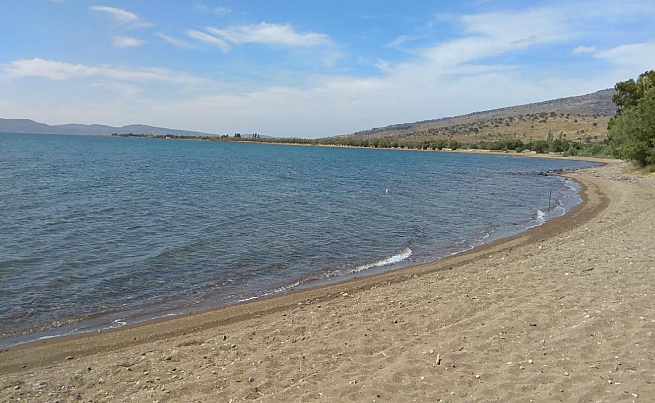 Photo of Parakila beach with brown sand surface