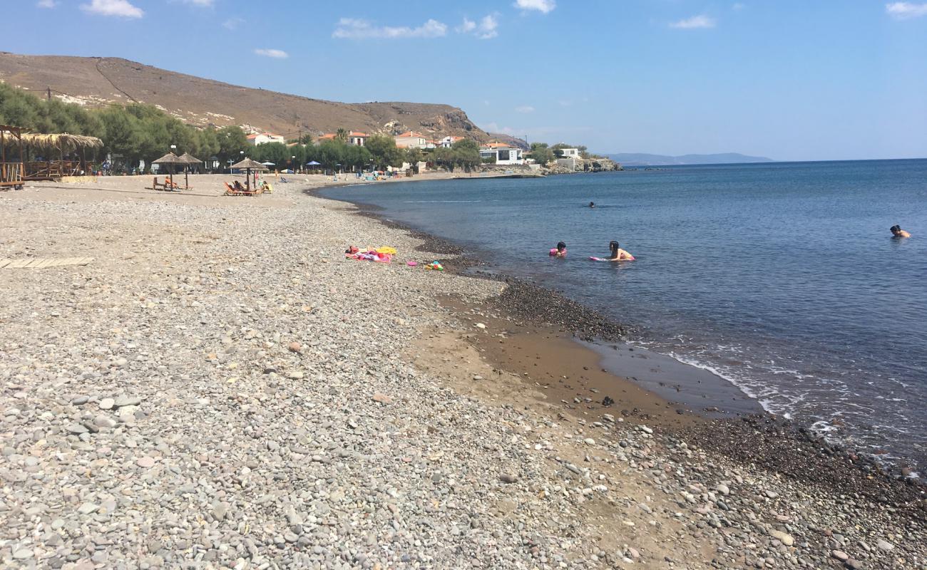 Photo of Paralia Tavari with bright sand surface