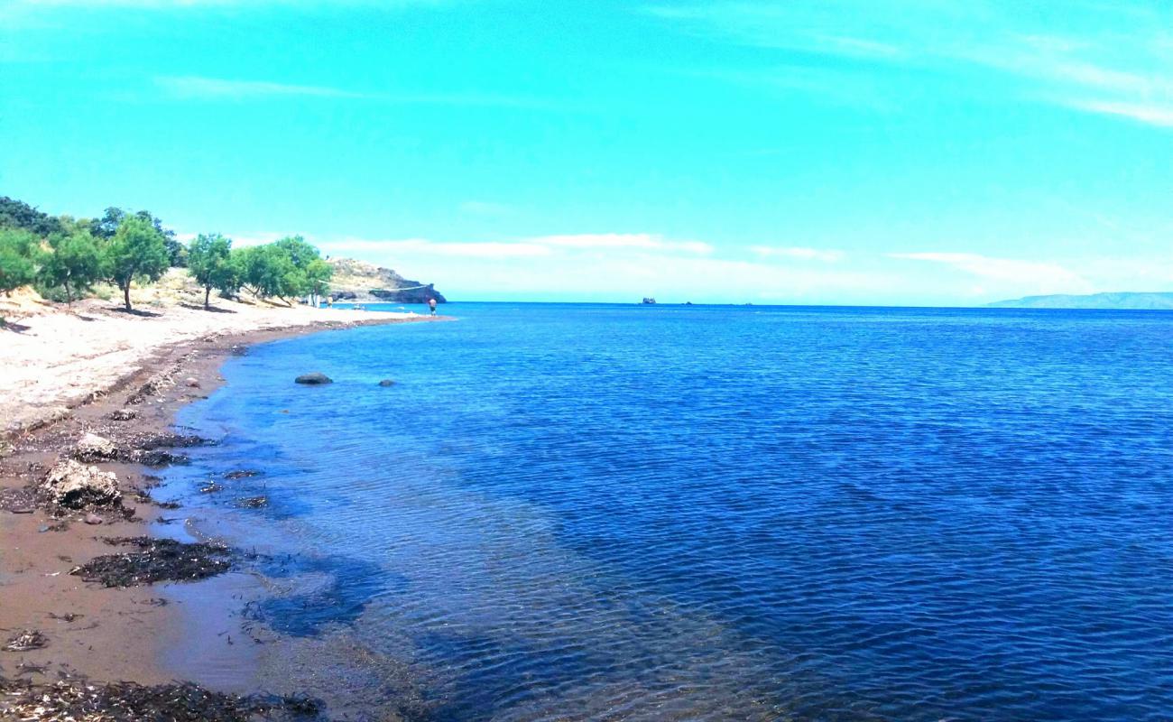 Photo of Agia Varvara beach with bright sand & rocks surface