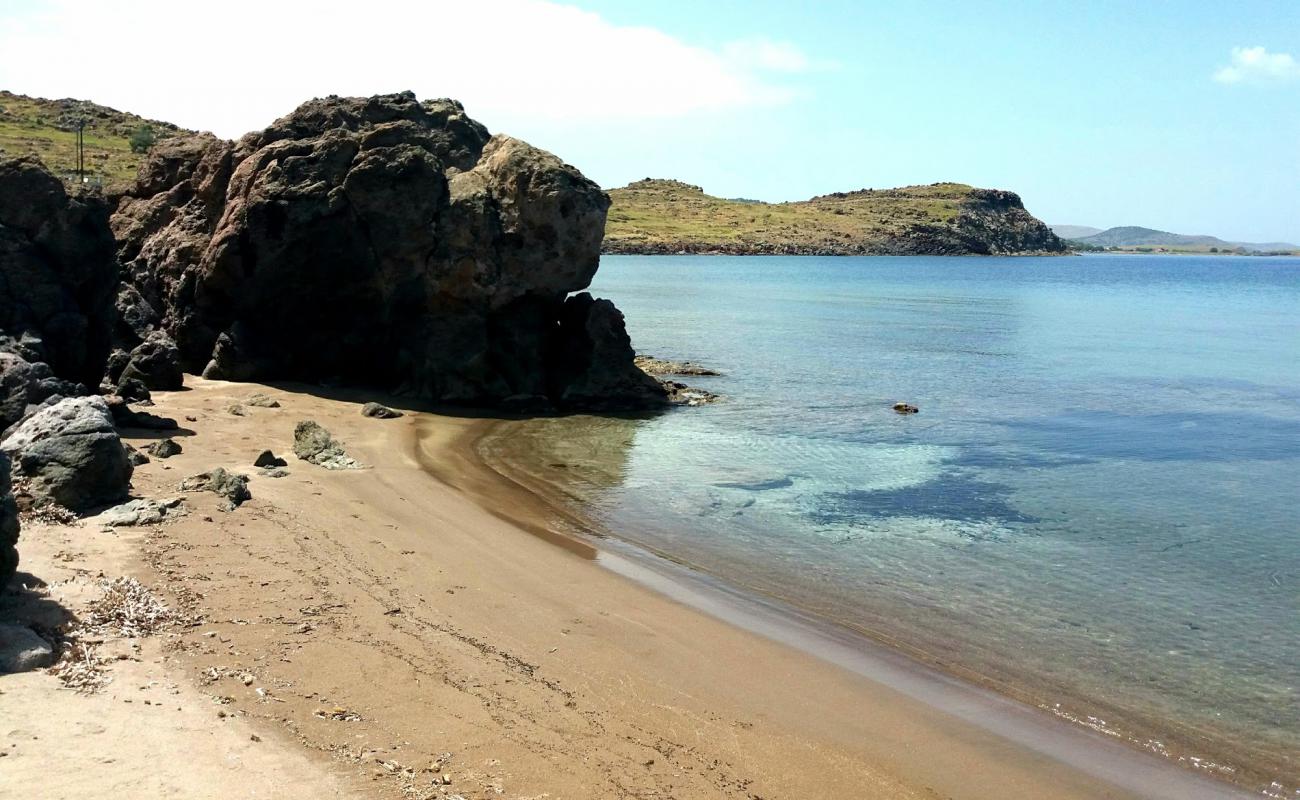 Photo of Good Harbor beach with bright sand surface