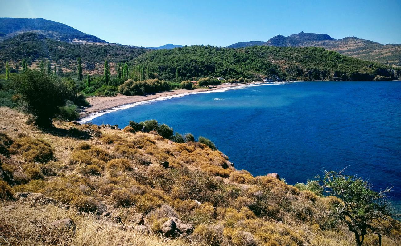 Photo of Paralia Ampelia with bright sand & rocks surface