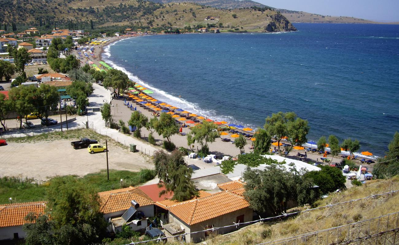 Photo of Anaxos Beach with bright sand surface