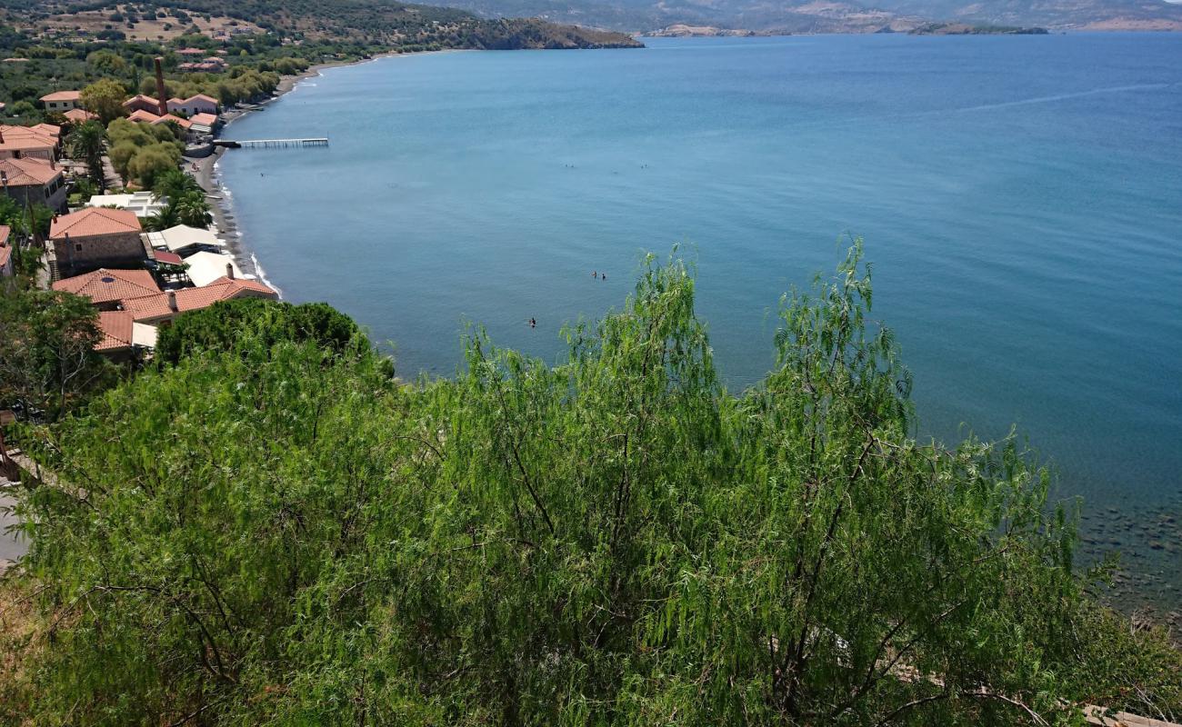 Photo of Delfinia beach with light sand &  pebble surface