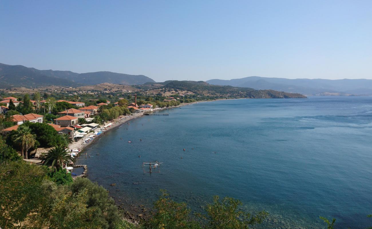 Photo of Delfinia beach II with light fine pebble surface