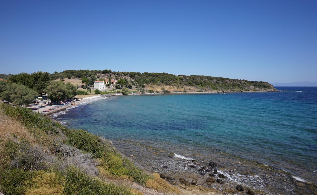 Photo of Petalidi beach with light sand &  pebble surface