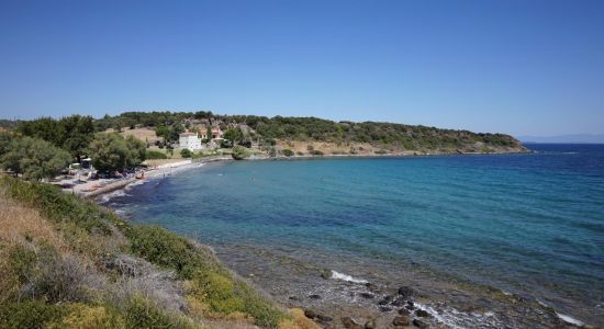 Petalidi beach