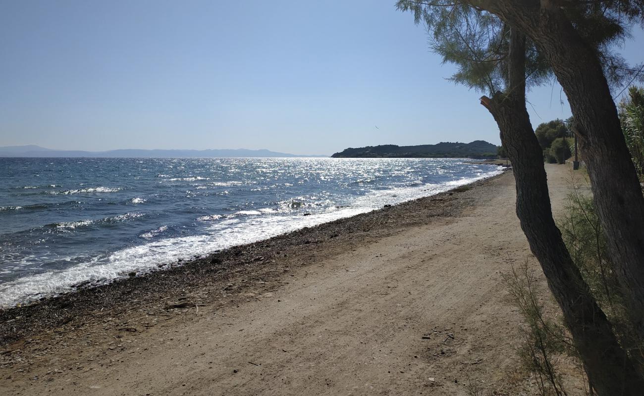 Photo of Kanoni beach with light sand &  pebble surface