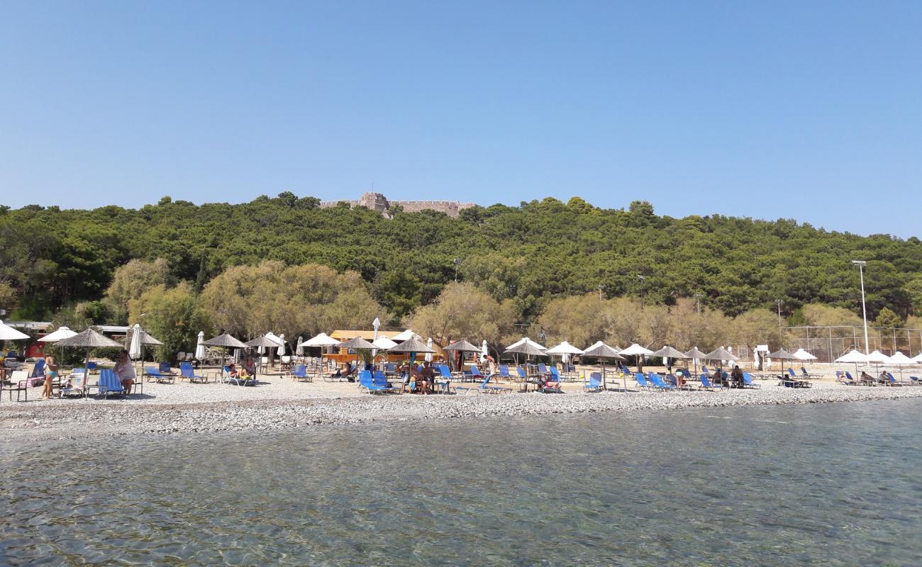 Photo of Tsamakia beach with light pebble surface