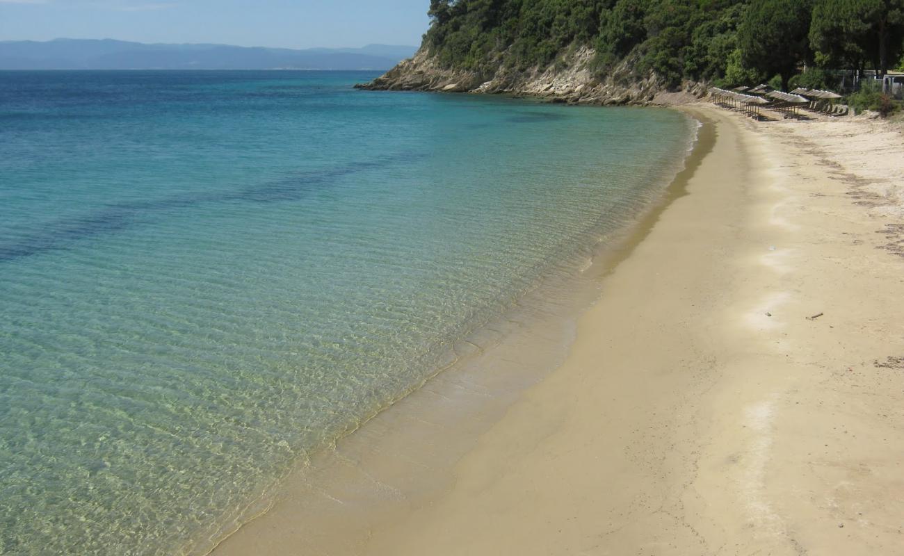 Photo of Xenia beach with gray sand surface