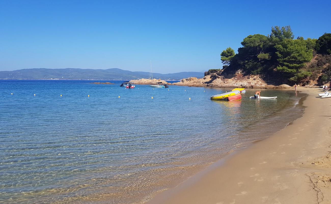 Photo of Banana beach with bright fine sand surface