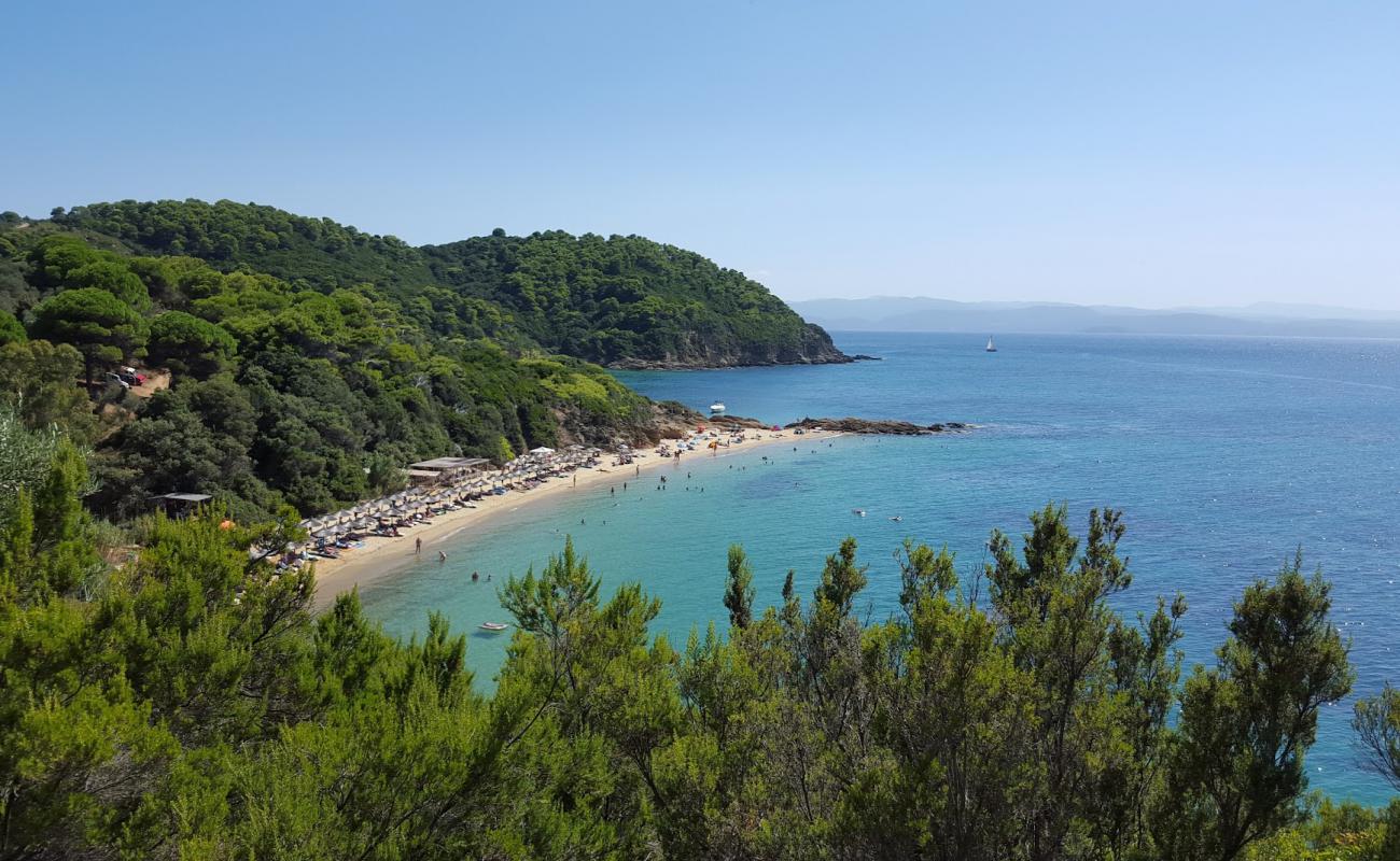 Photo of Little Banana beach with bright fine sand surface