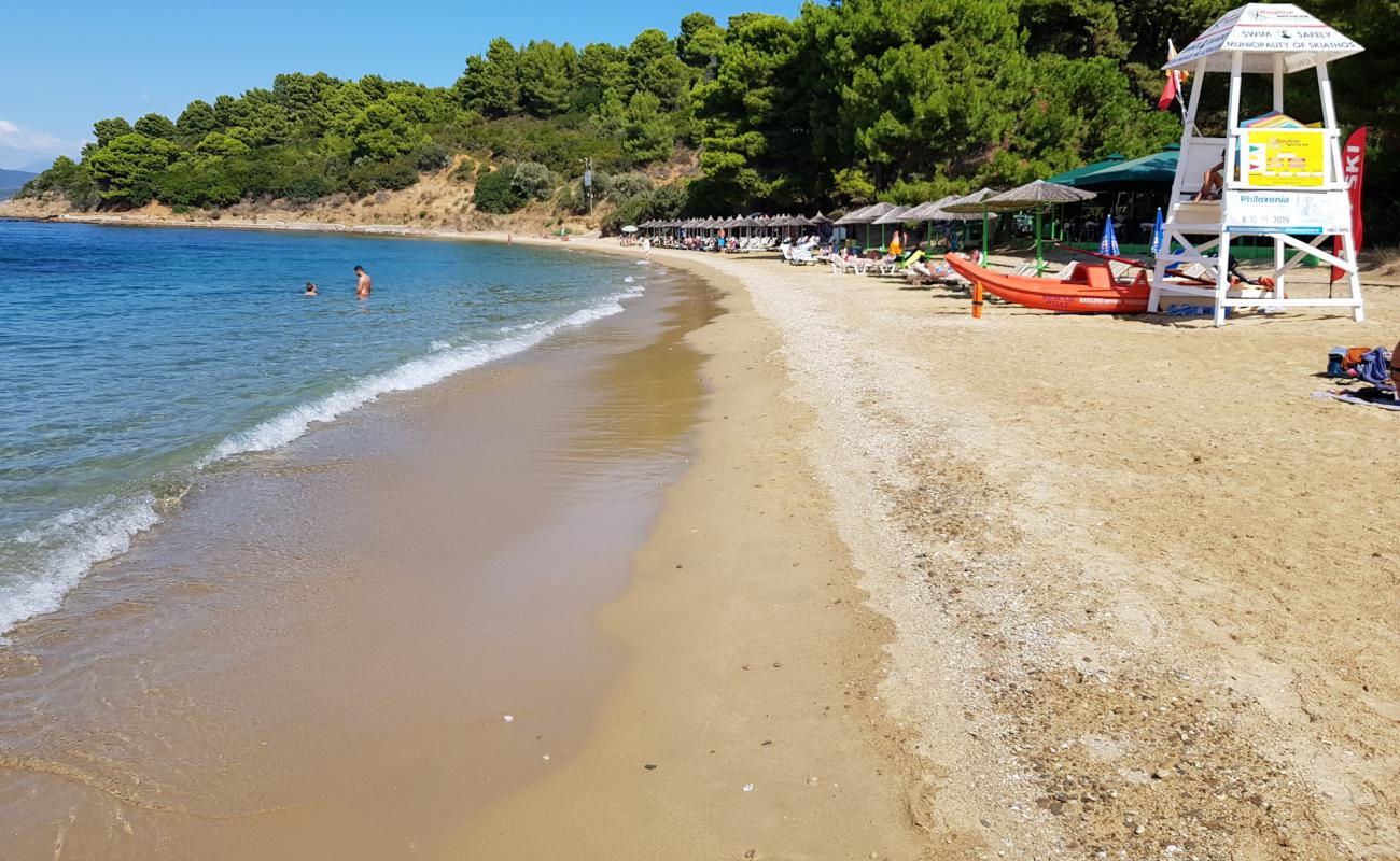 Photo of Agia Eleni beach with gray sand &  pebble surface