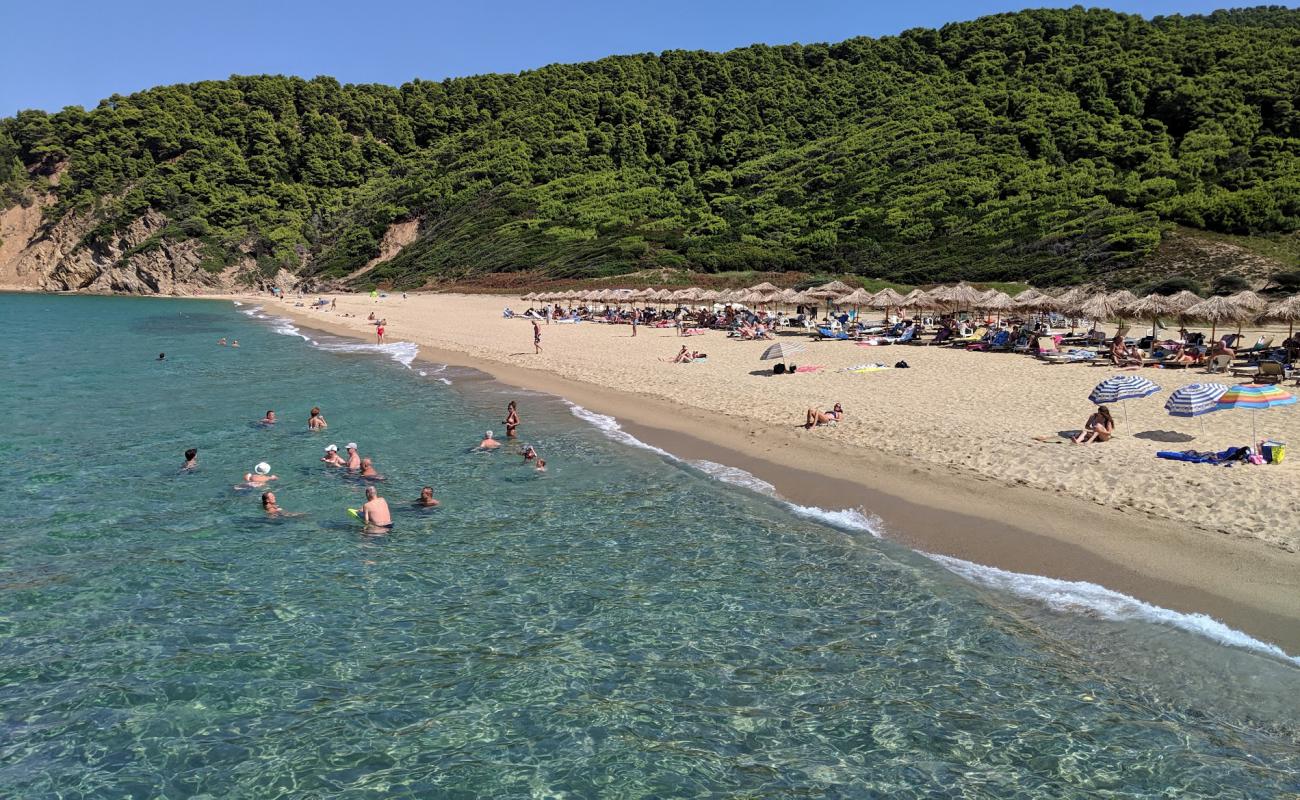 Photo of Paralia Megalos Aselinos with gray sand surface