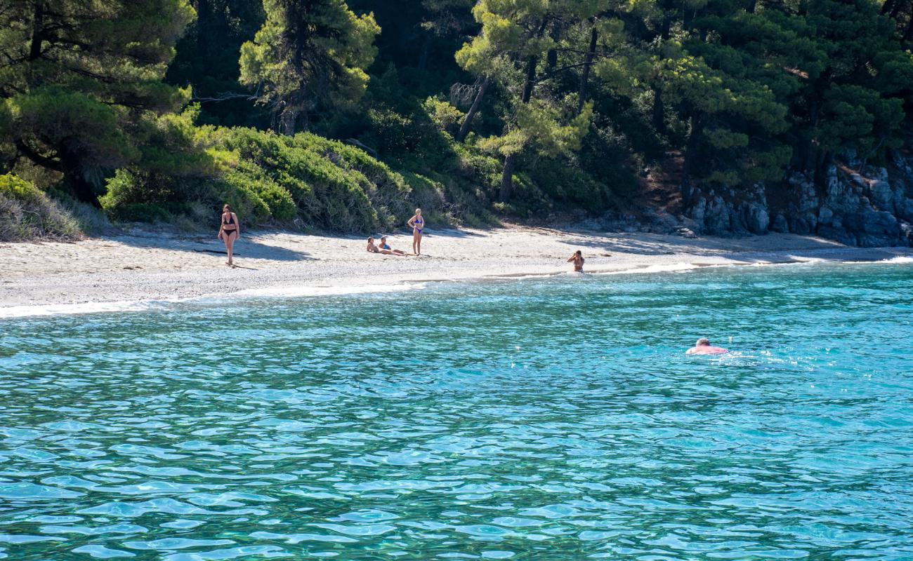 Photo of Golden King Villas beach with gray sand surface