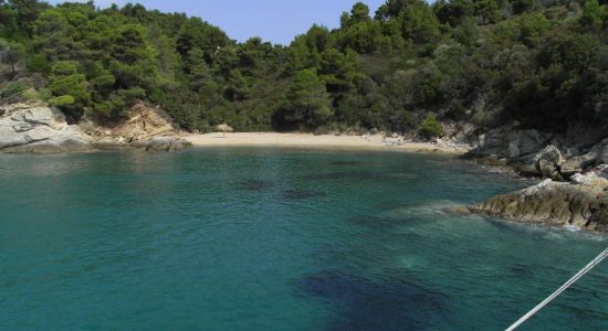 Skiathos beach II