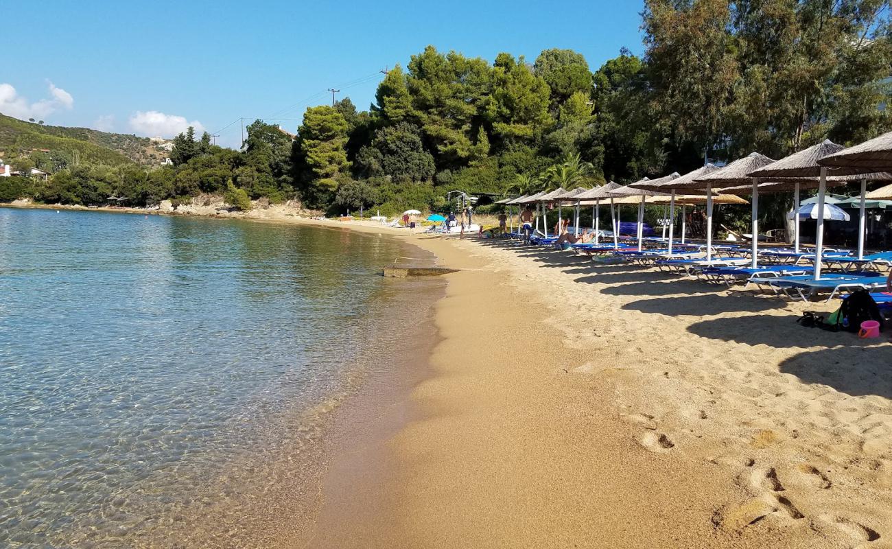 Photo of Kolios beach with bright sand surface