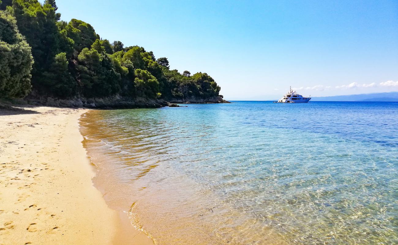 Photo of Katharina beach with bright sand surface