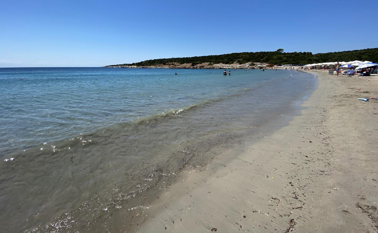 Photo of Kalogria beach with bright sand surface